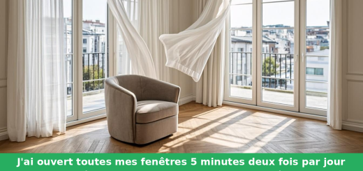 J'ai ouvert toutes mes fenêtres 5 minutes deux fois par jour — le problème de moisissure a disparu complètement