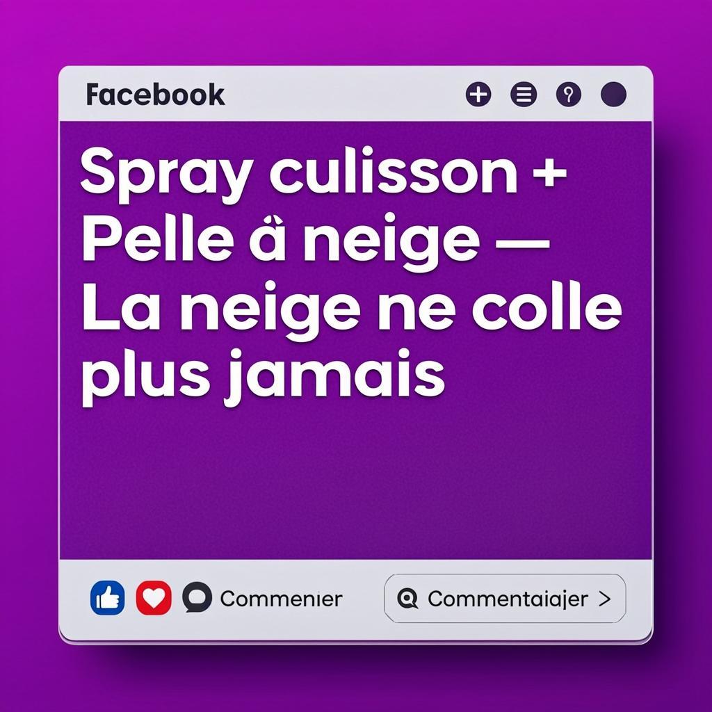 Spray de cuisson pour pelle à neige
