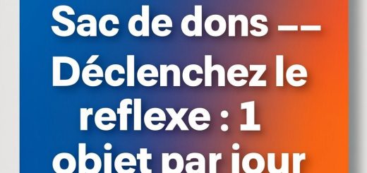 Sac de dons dans le placard pour désencombrer facilement