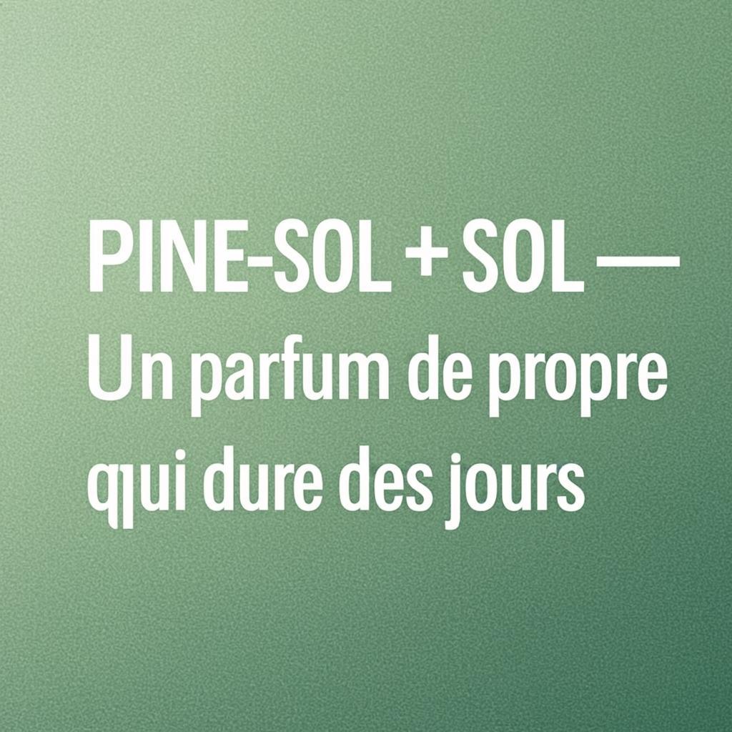 Pine-Sol pour un sol impeccablement propre