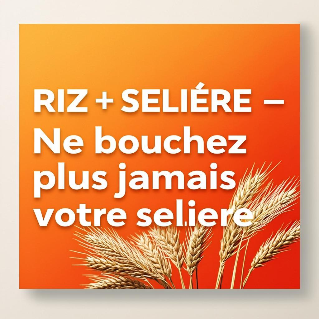 Riz pour nettoyer selière