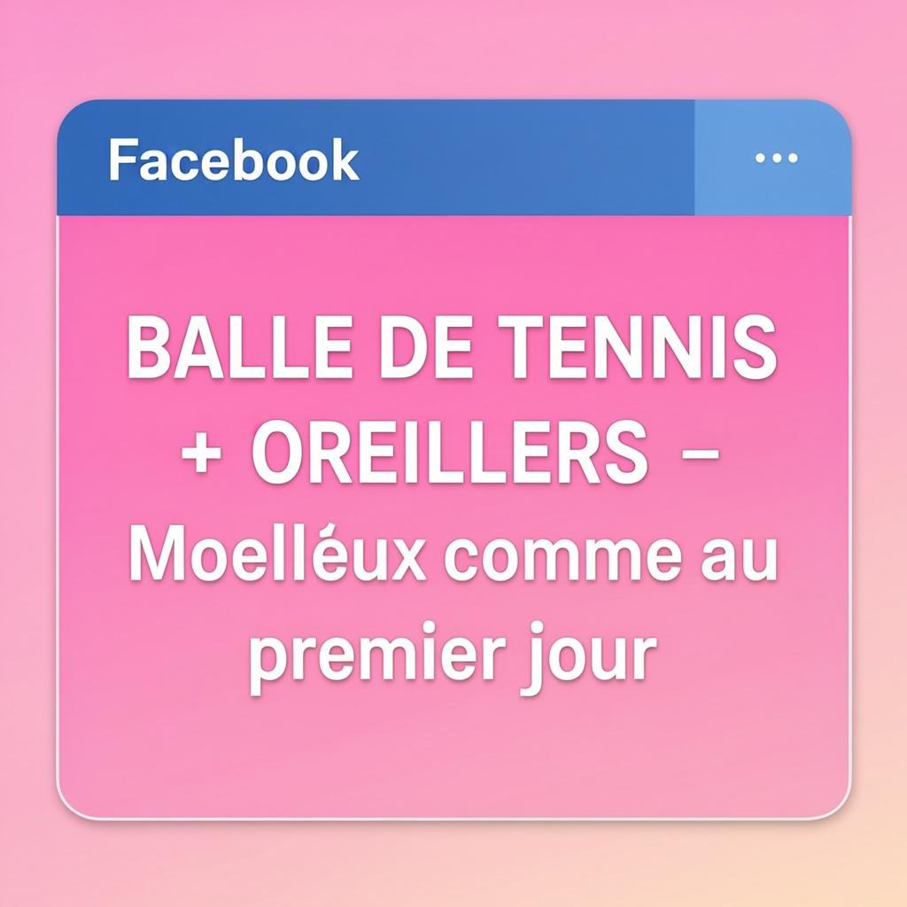 Balles de tennis pour le séchage du linge