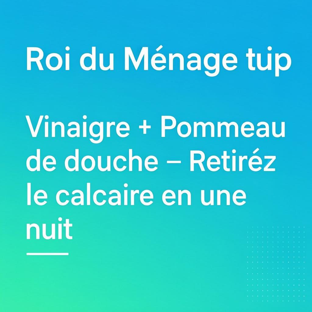 Vinaigre blanc pour nettoyer le pommeau de douche