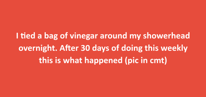 Soak showerhead in vinegar to remove mineral deposits