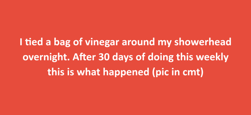 Soak showerhead in vinegar to remove mineral deposits