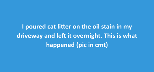 Cat litter trick to absorb fresh oil stains