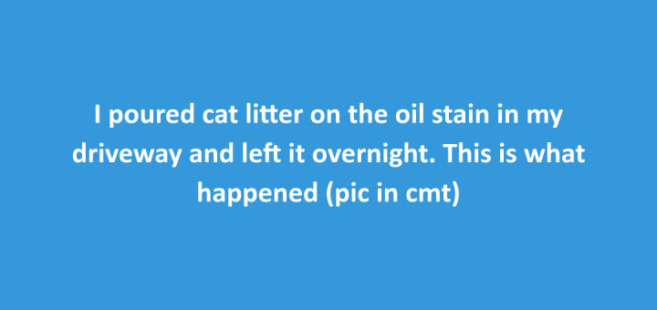 Cat litter trick to absorb fresh oil stains