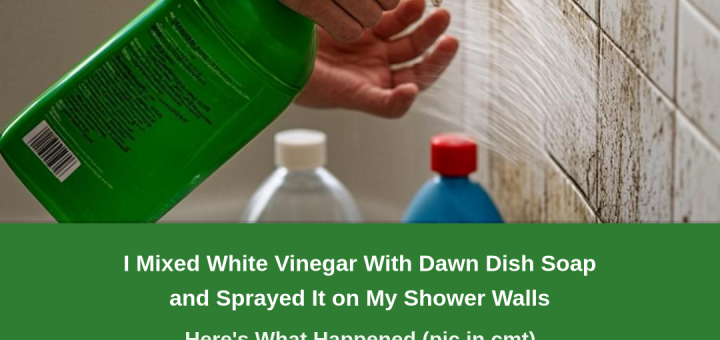 Vinegar and Dawn mixture for powerful all-purpose cleaning